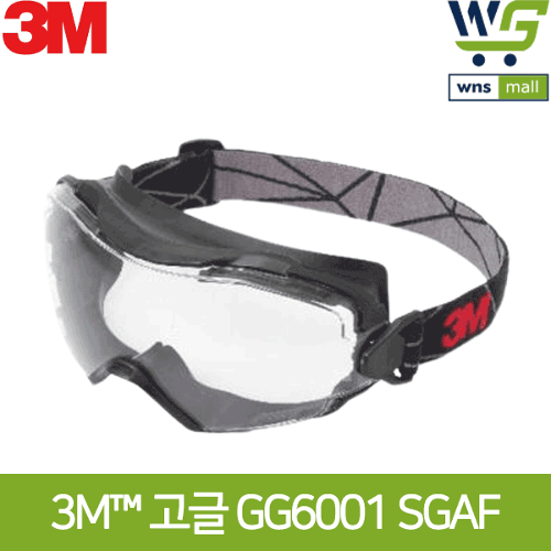 3M 고글 보안경 GG6001SGAF (2개) 간접통풍 투명 김서림방지 화학물질취급